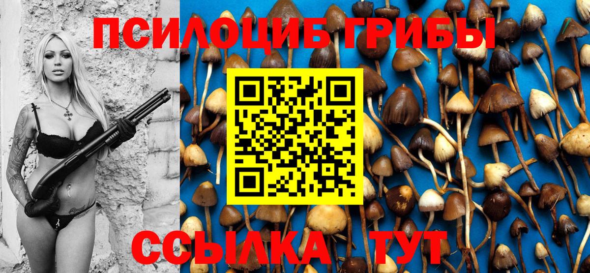 Шахты  Псилоцибиновые грибы GOLDEN TEACHER  Вход с VPN  Псилоцибиновые грибы Cubensis 